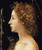 Digital Print - The Young Saint John the Baptist by Piero di Cosimo