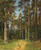 Digital Print - Siverskaya by Ivan Ivanovich Shishkin