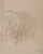Digital Print - Study of a Calf by James Ward