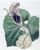 Digital Print - Boat-flowered Birthwort by Sydenham Edwards