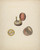 Digital Print - Hand Compass by Robert Clark