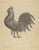 Digital Print - Weather Vane - Cock by Rollington Campbell