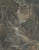 Digital Print - A Waterfall in a Forest at Langhennersdorf by Christoph Nathe