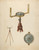 Digital Print - Surveyor's Compass by Archie Thompson