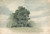 Study of Trees at the Edge of a Field by Cornelius Varley Art Print Download