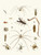 Digital Print - Dr. Sulzer's Short History of Insects, Pl. 28 by Johann Heinrich Sulzer