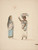 Digital Print - Native Women of Trujillo by Francisco Fierro