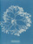 Digital Print - Chylocladia ovalis. by Anna Atkins