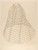 Digital Print - Hoop Skirt by Margaret Concha