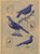 Digital Print - Bird Decorations for Stoneware by Charles Caseau
