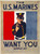 Digital Print - The U.S. Marines want you by Charles Buckles Falls