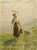 Digital Print - A Young Woman In The Meadow by Hans Dahl