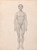 Digital Print - Human Figure, Anterior View, Undissected by George Stubbs