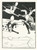 Digital Print - A most obstinate war for six-and-thirty moons past by Jean de Bosschre