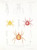 Digital Print - Arachnida Acaridea Pl 05 by Frederick DuCane Godman