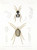 Digital Print - Arachnida Acaridea Pl 04 by Frederick DuCane Godman