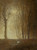 Digital Print - Edge of the Forest in the Moonlight by Ladislav Mednynszky