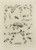 Digital Print - Alphabets: numerals, and devices of the middle ages Pl.46 by Henry Shaw