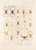 Digital Print - Arachnida Araneidea Pl 17 by Frederick DuCane Godman