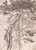 Digital Print - Study of Trees by James Ward