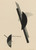 Digital Print - Kestnermappe; Komposition (One Plate) (Passuth 125) by Lszl Moholy-Nagy