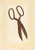Digital Print - Bishop Hill - Scissors by Archie Thompson