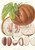 Digital Print - Hodgsonia Heteroclita, H. f. et T. (Fruit) by Walter Hood Fitch
