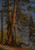 Digital Print - Park at Vancouver by Albert Bierstadt