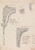 Digital Print - Architectural Sketches of Sections in Alhambra of Granada by Henry Swinburne