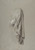 Digital Print - Drapery Study for a Cleric by Isidore Pils