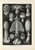 Digital Print - Basimycetes. - Schwammpilze by Ernst Haeckel
