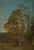 Digital Print - Furuer, Levanger by Amaldus Nielsen Digital Print - Furuer, Levanger by Amaldus Nielsen
