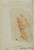 Digital Print - Sketch of a Draped Arm by Domenico Cresti