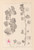 Digital Print - Herbier de la flore franaise Pl.0048 by Louis Antoine Cusin