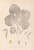 Digital Print - Herbier de la flore franaise Pl.0030 by Louis Antoine Cusin