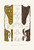 Digital Print - Naluchie i tul, ili kolchan by Fedor Grigoryevich Solntsev