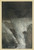 Digital Print - Hey! Come hither, And stop me this cranny! by Arthur Rackham