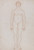 Digital Print - Study of the Human Figure, Anterior View by George Stubbs