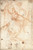 Digital Print - Equestrian Study by Giuseppe Cesari