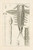 Digital Print - The book of nature, or, The history of insects Pl.15 by Jan Swammerdam