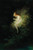 Digital Print - Girl Holding A Snake - Innocence by Karl Wilhelm Diefenbach