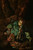 Digital Print - A forest floor with a snake, frog, snail, butterflies and other insects by Karl Wilhelm De Hamilton