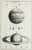 Digital Print - An original theory or new hypothesis of the universe, Plate VIII by Thomas Wright