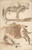 Digital Print - Sheet of Studies; A Horse Above, a Seated Man and a Reclining Man Below by Domenico Gargiulo