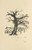 Digital Print - Histoires naturelles Pl 56 by Pierre Bonnard
