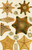 Digital Print - Echinodermata by Frederick McCoy