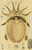 Digital Print - Mollusca IV by Frederick McCoy