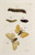 Digital Print - Archives de l'histoire des insectes Pl.36 by Johann Caspar Fuessli