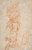 Digital Print - Design for the Decoration of a Pilaster by Giovanni Antonio da Pordenone