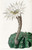 Digital Print - Sweet-Scented Spicy Cactus by Sydenham Edwards